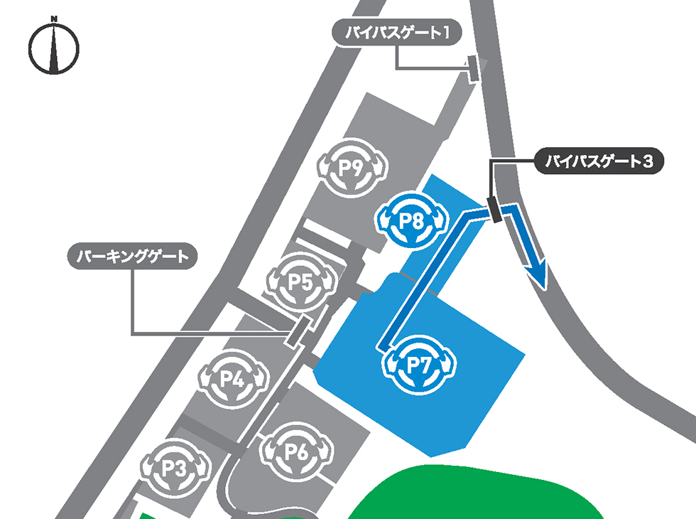 P7 P8