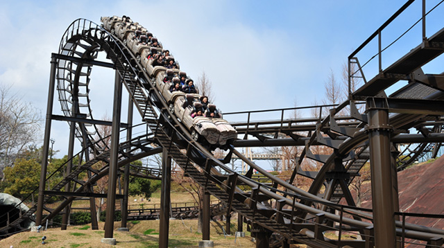 Rocky Coaster