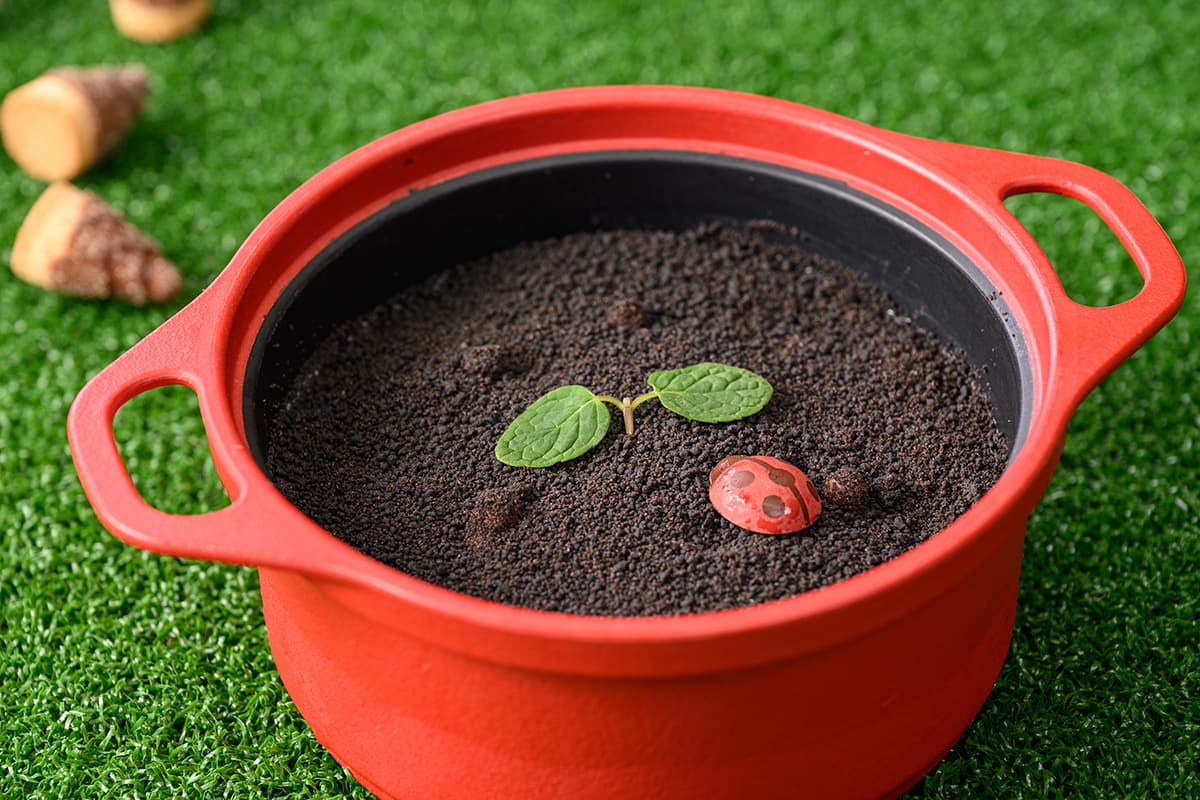 Let's find it! Harvest Pudding