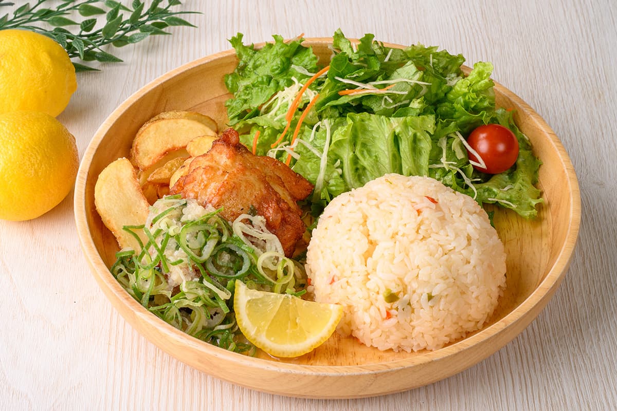 Refreshing Green Onion Salt Chicken Plate