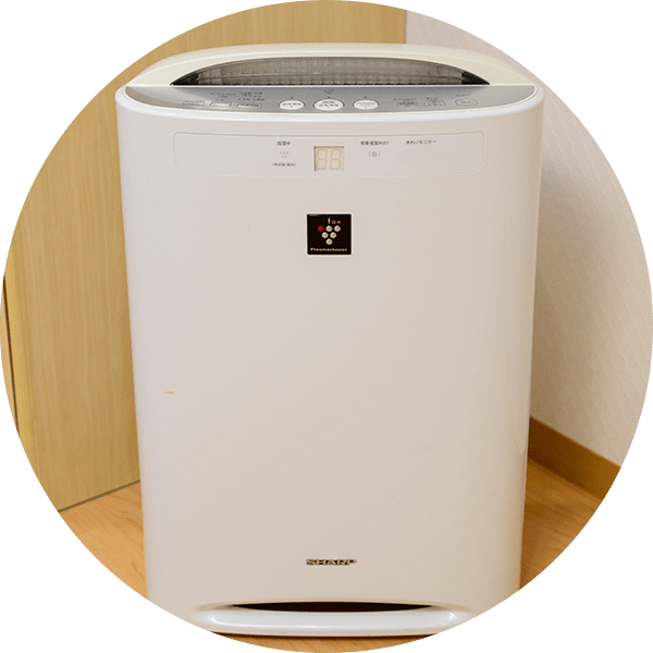 Air Purifier with Humidifier