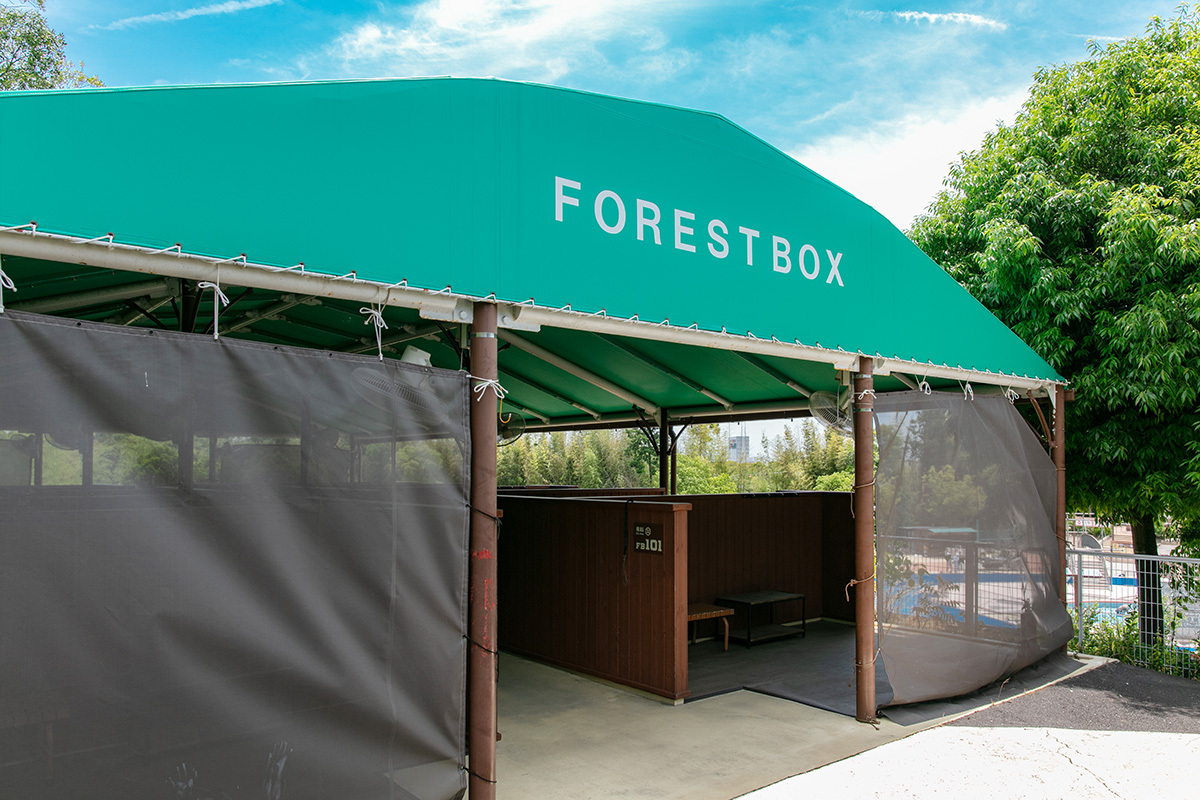 Forest BOX