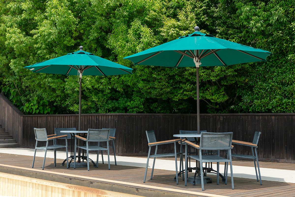 Wave Parasol