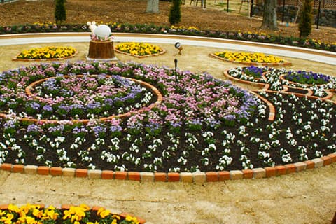 Denden Flower Bed