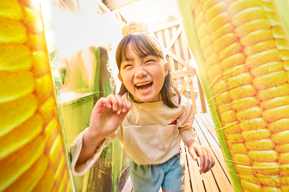 Garden Maze 'Potagenne'