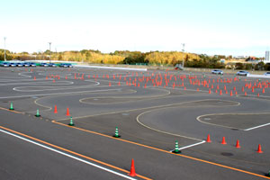 Slalom Course