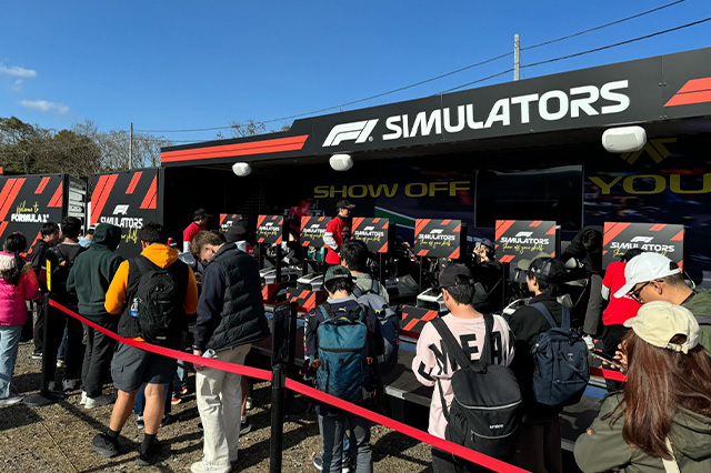 F1 SIM RACING