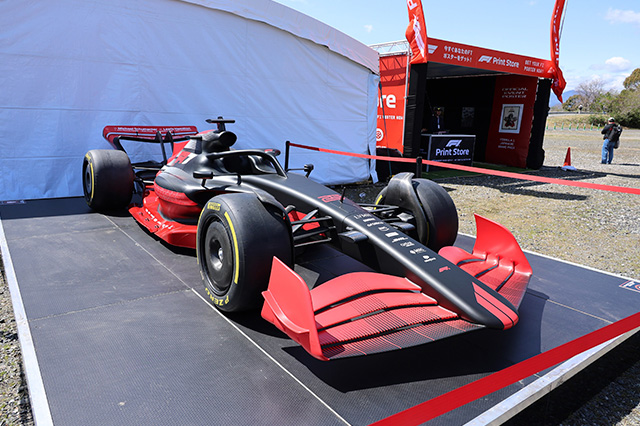 F1 SIM RACING